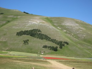 Stagnazione, investimenti, innovazione e territorio