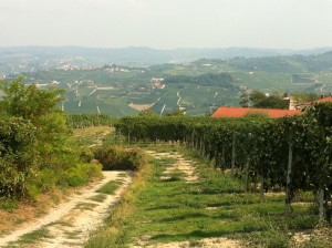 L’agriturismo per lo sviluppo rurale multi-funzionale: un’analisi  a livello regionale