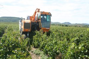 Il cibo nelle politiche urbane. La sfida della pianificazione alimentare